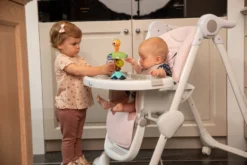 Bo Jungle B-Suction Toy Smart Owl Kinderstoel Speelgoed B910810 -Dolu Verkoopwinkel bo jungle b suction toy smart owl kinderstoel speelgoed b910810 7