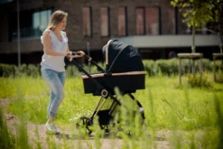 Ding Fenix Black/Rose Kinderwagen DI-191702 -Dolu Verkoopwinkel ding fenix rose kinderwagen