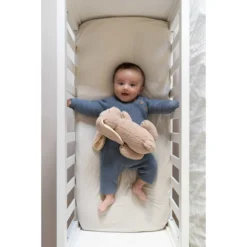 Doomoo Snoogy Biscuit Konijn Magnetronknuffel SY21 -Dolu Verkoopwinkel doomoo snoogy biscuit konijn magnetronknuffel sy21 7