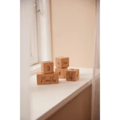 Filibabba Houten Mijlpaalblokken FILI-WOODBLOCK_1_02185 -Dolu Verkoopwinkel filibabba houten mijlpaalblokken fili woodblock 1 02185 5