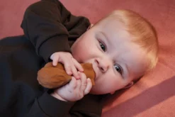 Filibabba Sonja The Squirrel Natuurrubber Bijtspeeltje FILI-SONJATEETH_1_02213 -Dolu Verkoopwinkel filibabba sonja the squirrel natuurrubber bijtspeeltje fili sonjateeth 1 02213 5