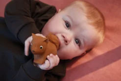 Filibabba Sonja The Squirrel Natuurrubber Bijtspeeltje FILI-SONJATEETH_1_02213 -Dolu Verkoopwinkel filibabba sonja the squirrel natuurrubber bijtspeeltje fili sonjateeth 1 02213 6