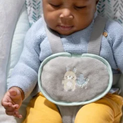 Ingenuity AnyWay Sway PowerAdapt Spruce Portable Babyswing K12058 -Dolu Verkoopwinkel ingenuity anyway sway poweradapt spruce portable babyswing 7 1920x1920