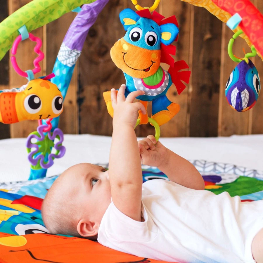 Playgro Clip Clop Musical Activity Speelkleed Met Muziek P0186991 10 Playgro Clip Clop Musical Activity Speelkleed Met Muziek P0186991 - Afbeelding 10
