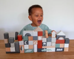 Tryco 50 Stuks Houten Blokken TR-353001 -Dolu Verkoopwinkel tr 353001 tryco wooden 50pcs blocks 06