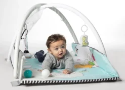 Tryco 5-in-1 Lovely Park Ball Play Activity Gym Speelkleed TR-140202 -Dolu Verkoopwinkel tryco 5 in 1 lovely park ball play activity gym speelkleed tr 140202 14