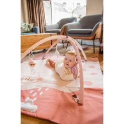 Tryco Swan Ivy 2-in-1 XL Speelkleed En Opbergtas TR-140209 -Dolu Verkoopwinkel tryco swan ivy 2 in 1 xl speelkleed en opbergtas tr 140209 sfeer2