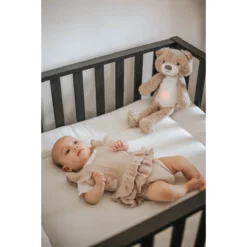 Zazu Brody De Beer Taupe Slaaptrainer ZA-BRODY-01 -Dolu Verkoopwinkel zazu brody sfeer 3 2