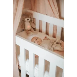 Zazu Brody De Beer Taupe Slaaptrainer ZA-BRODY-01 -Dolu Verkoopwinkel zazu brody sfeer 4