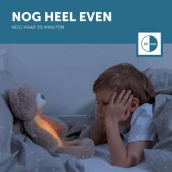 Zazu Brody De Beer Taupe Slaaptrainer ZA-BRODY-01 -Dolu Verkoopwinkel zazu brody de beer taupe slaaptrainer sfeer 7